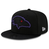 2024.3 NFL Snapbacks Hats-TX (1006)