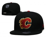 2024.3 NHL Snapbacks Hats-TX (37)