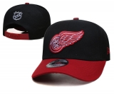 2024.3 NHL Snapbacks Hats-TX (28)