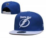 2024.3 NHL Snapbacks Hats-TX (24)
