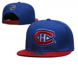 2024.3 NHL Snapbacks Hats-TX (21)